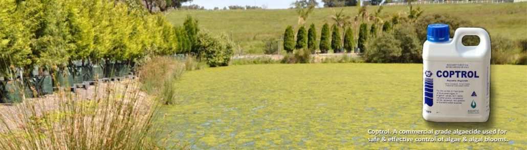 Coptrol - Safe & Effective on Algal Blooms