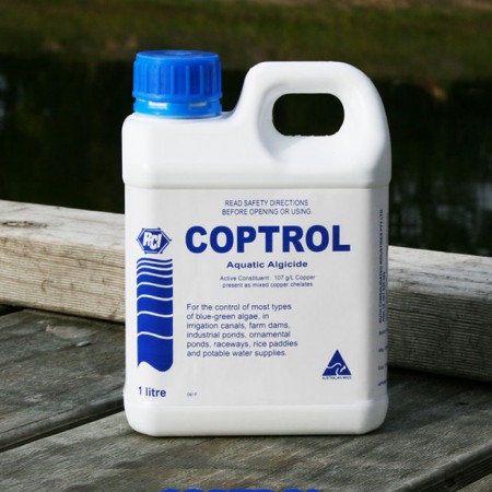 Control Algae with coptrol-aquatic-algicide.