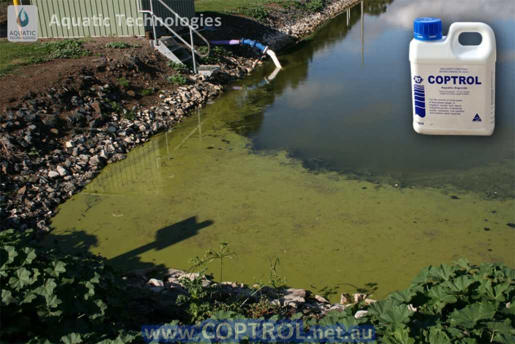 Aquatic Technologies Coptrol Algae Control used in tanks, troughs, dams, ponds, potable water